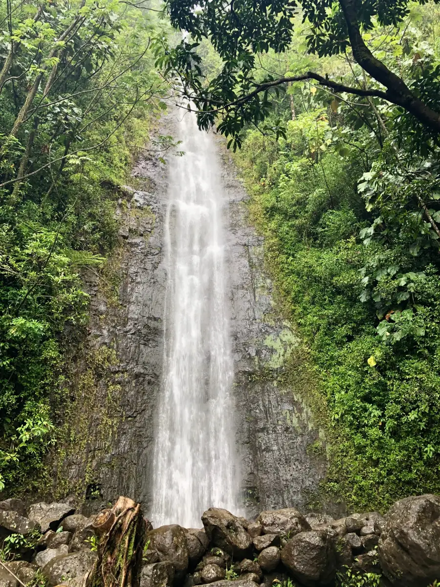 Manoa Falls flowing through a lush Oahu rainforest